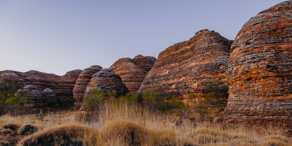 LBP1108-Bungle-Bungle-Spinifex-Copyright-Landi-Bradshaw-Photography-Landscape-Print-The-Kimberley-Bungle-Bungle-Purnululu-National-Park-Ranges LBP1108-Bungle-Bungle-Spinifex-Copyright-Landi-Bradshaw-Photography-Landscape-Print-The-Kimberley-Bungle-Bungle-Purnululu-National-Park-Ranges